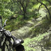 Cherry Canyon singletrack.