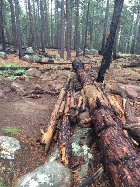 Fun log obstacle.  A bit bigger than the picture portrays.