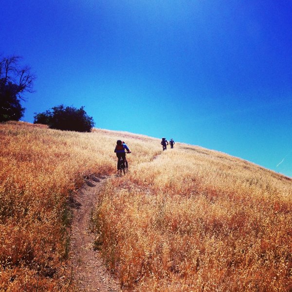 climbing to little pine