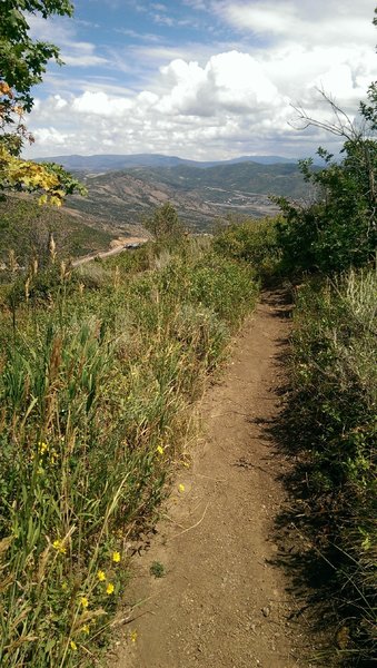 Mellow start to the Spin Cycle trail