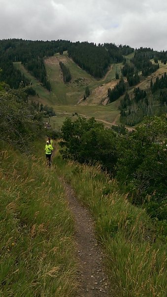Trail runners on Gap Bypass