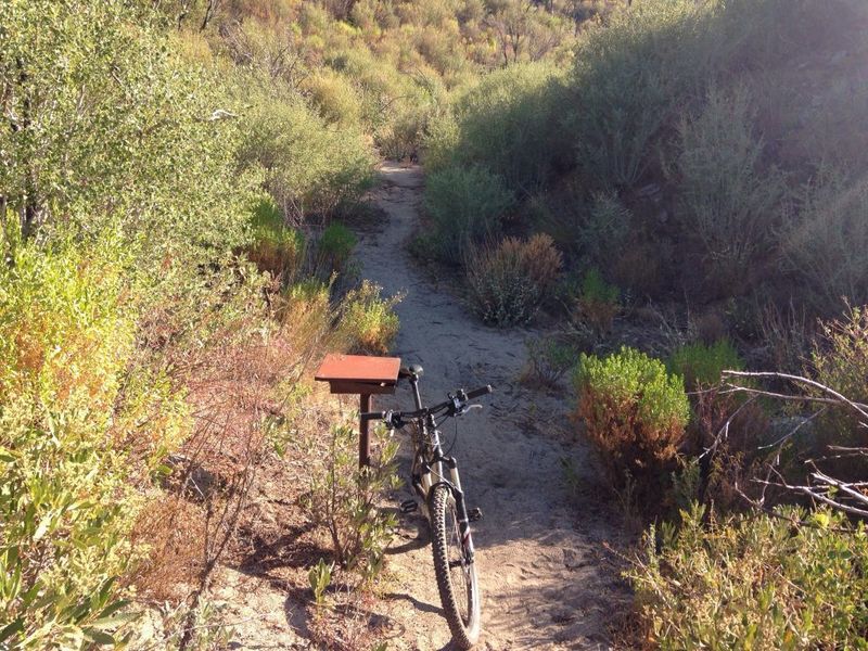 The register box where you'll want to go to the right onto Strawberry Peak Trail, which heads back uphill towards Strawberry / Lawlor saddle.