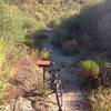 The register box where you'll want to go to the right onto Strawberry Peak Trail, which heads back uphill towards Strawberry / Lawlor saddle.