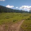 Lily Lake Trail singletrack