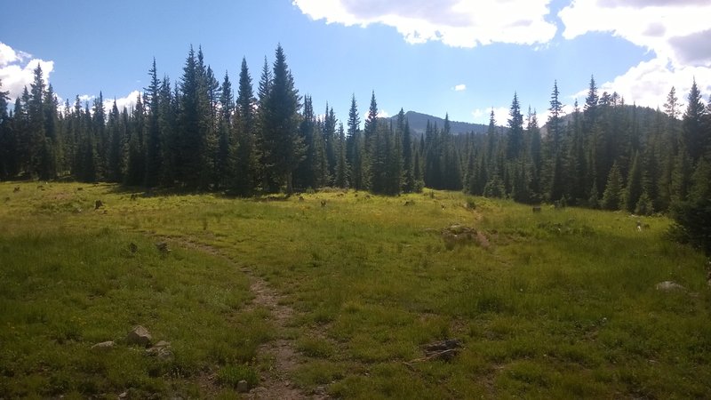 The trail splits and is faint in spots, stay left here, look for the rock cairns.