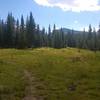 The trail splits and is faint in spots, stay left here, look for the rock cairns.