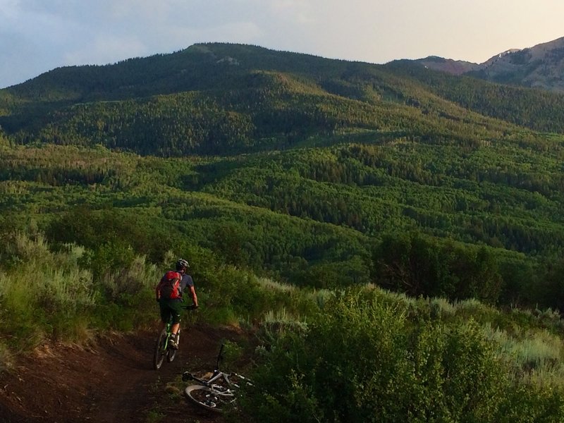 Near the top of Deadline, looking towards the forests of Burnt Mt. and the Government Trail.