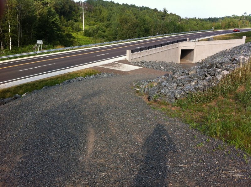 Tunnel under Haines Road - connecting Brewer Park trails with the Piedmont trails.