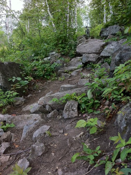 Looking back up a gnarly rock descent on Admiral Rockbar.