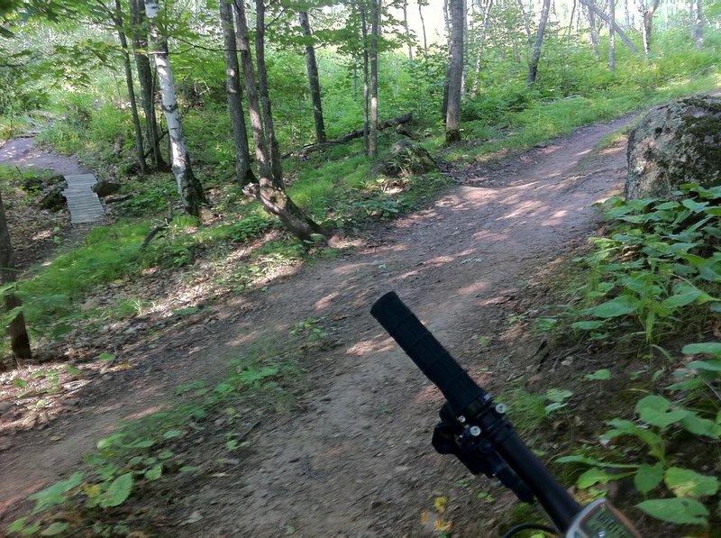 Wooded switchbacks on Deerslayer.