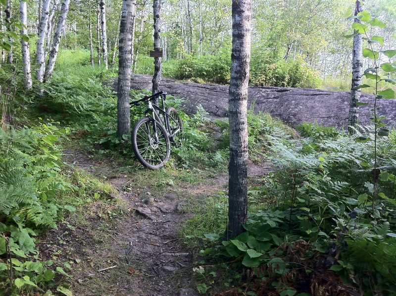 Fork in Merritt Creek trail (this section rides best clockwise)