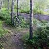 Fork in Merritt Creek trail (this section rides best clockwise)