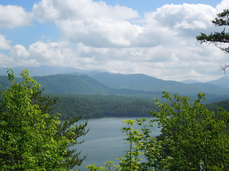 View from Mouse Branch Overlook Trail at Tsali