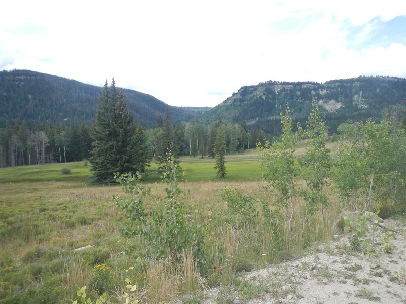 Looking over an alpine meadow shortly before the turnoff to Pete's Hole Reservoir.