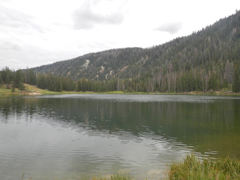 Pete's Hole Reservoir, from the north side.