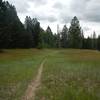 Some portions of the Josephite Point Trail traverse alpine meadows similar to what one might see on the Doctor Park Trail in Gunnison County, Colo.