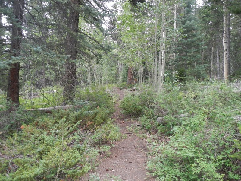 The Josephite Point Trail becomes somewhat more difficult as one progresses eastward.