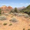 Cathedral Rock from Hiline