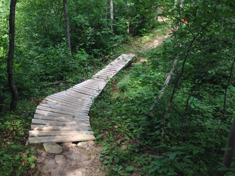 Bridge typical of the quality trail work. Makes for good flow and defense against the wet.