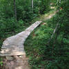 Bridge typical of the quality trail work. Makes for good flow and defense against the wet.