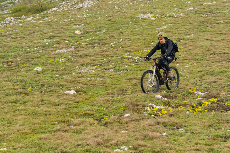 The descent from Petrov Cross