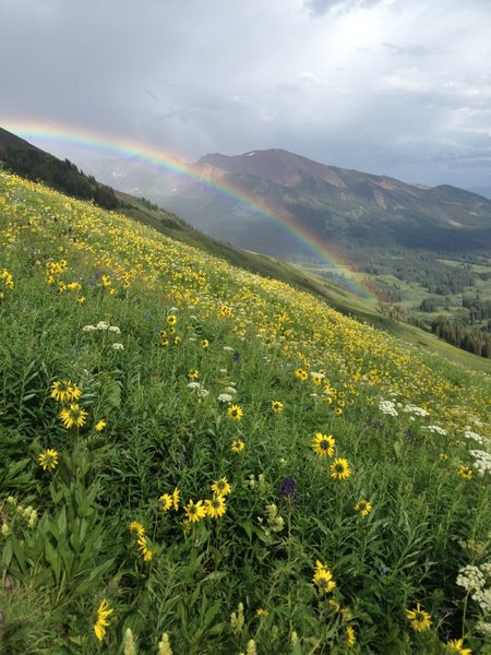 It was raining on the climb to the top when I got to the top the rain stopped and my timing could not have been more perfect!