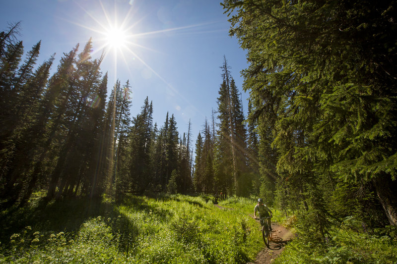 Sweet singletrack on the Continental Divide Trail.