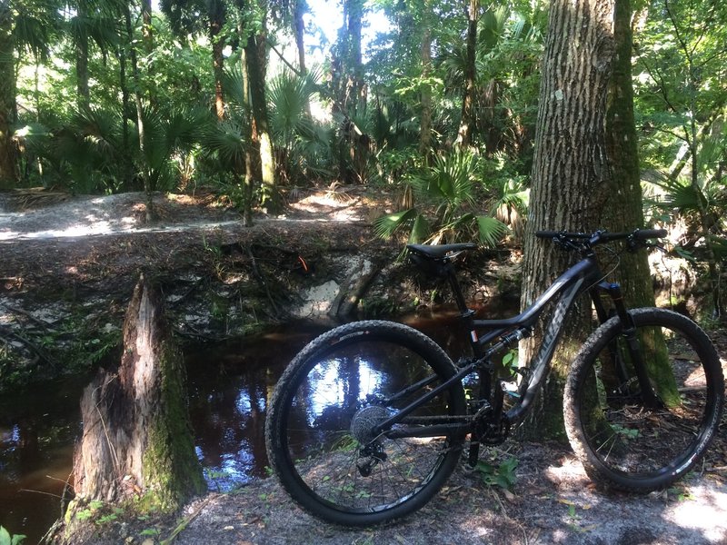 You see the trail on the other side of the creek.