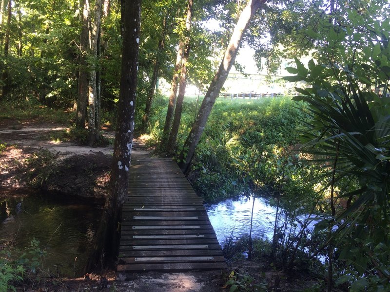 Cross over the creek at the end of the trail to go back on the other side of it.