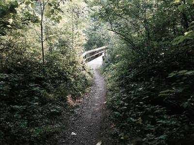 Island lake 2024 mountain bike trail