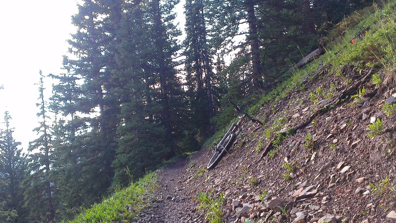 Little French Flume - singletrack goodness