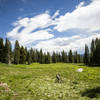 The last stretch of Mountain View trail before hitting the ski area is across a huge meadow, under big sky.