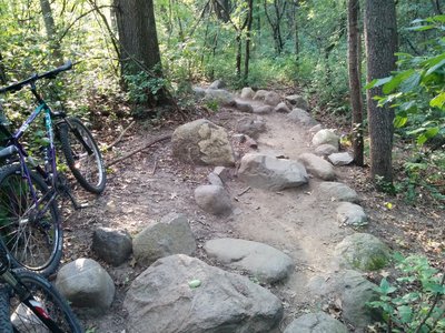 Mountain Bike Trails near Theodore Wirth Park