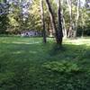 Meadow in Watters Smith State Park