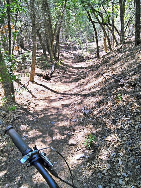 Steeper section approaching South Faulty Trail