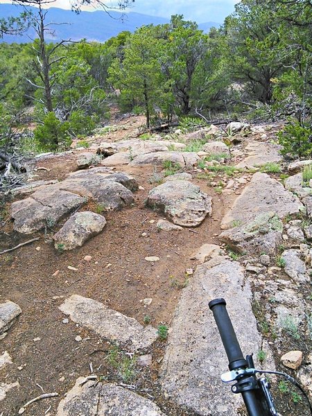 Bedrock exposures add rock garden interest