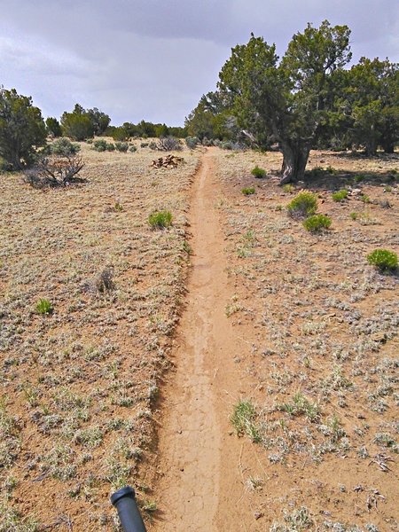 Southbound on smooth singletrack