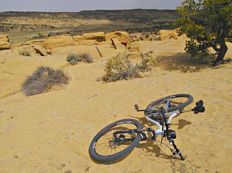 Slickrock section along the canyon rim