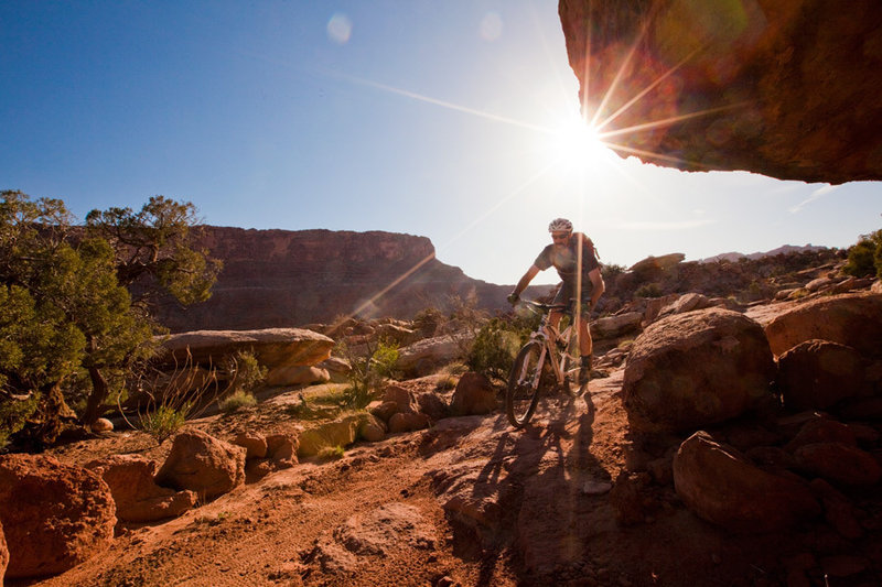 Late sun on Long Branch, one of the more technical trails in the Bar M area.