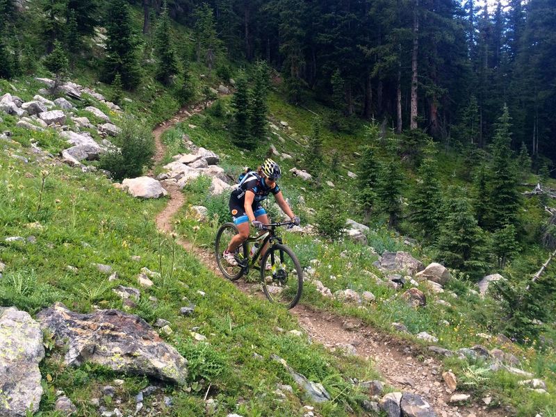 The heavily forested finish of Wheeler Trail