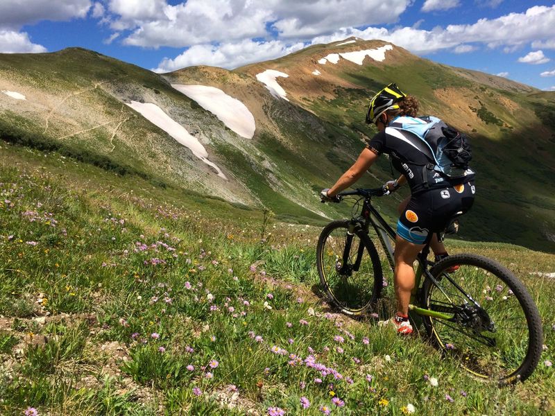 Alpine wildflowers with one final set of switchbacks in the distance.