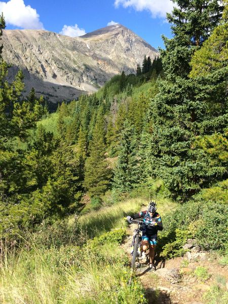 The initial 500' climb on Wheeler Trail