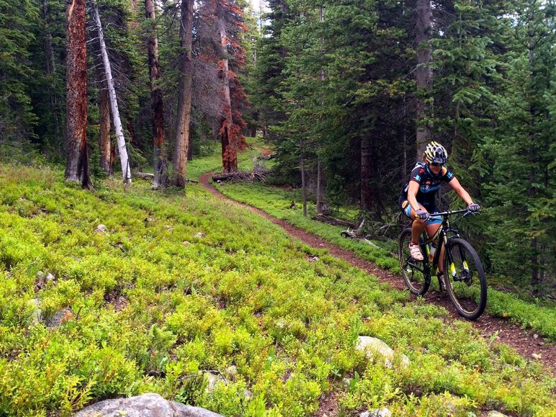 Great riding in the green carpeting!