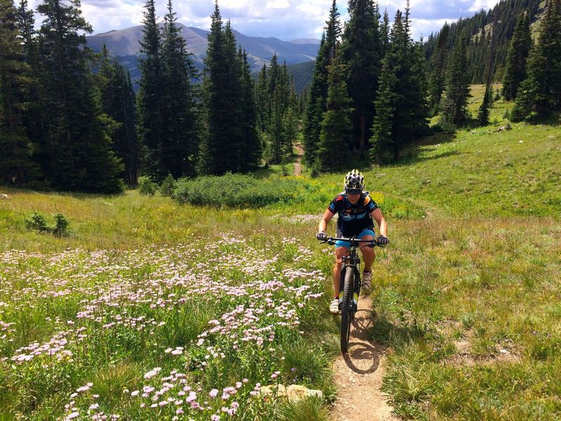 Great flowers and views continue to improve as you climb Wheeler Trail.