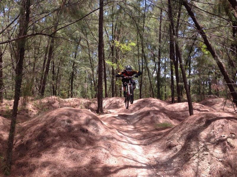 Plenty of shade in these trails