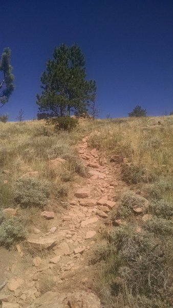 One of the rocky descents, loose rocks make it a bit more challenging.