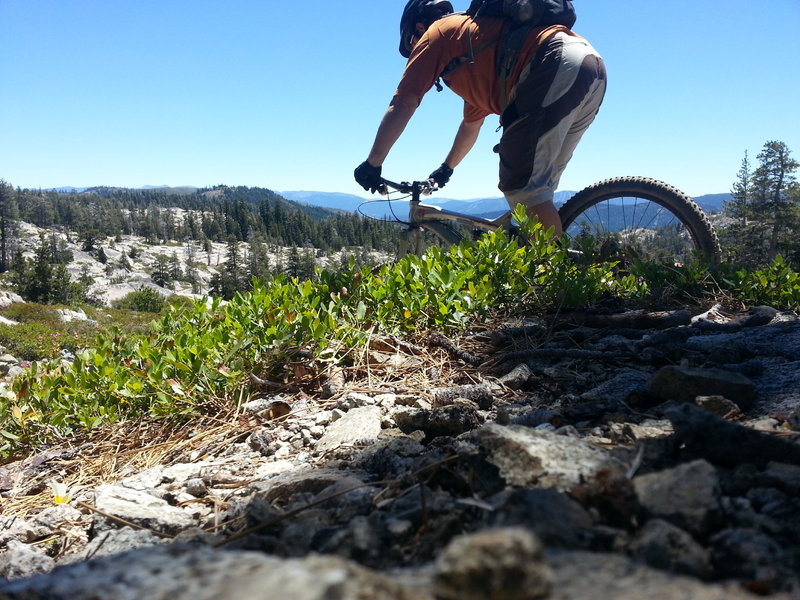 Dropping into the "granite garden"