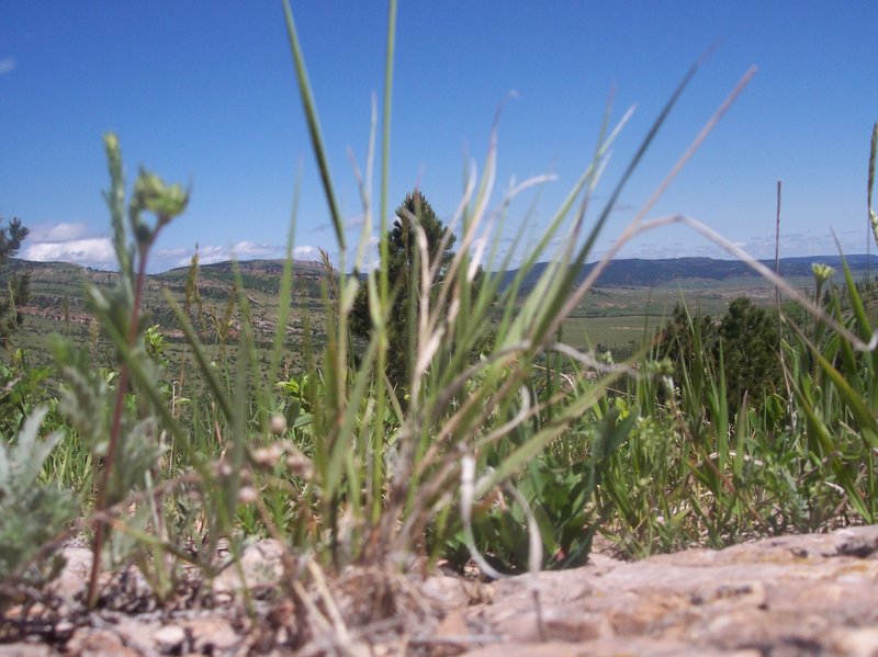 Looking North to Sheepnose Mtn