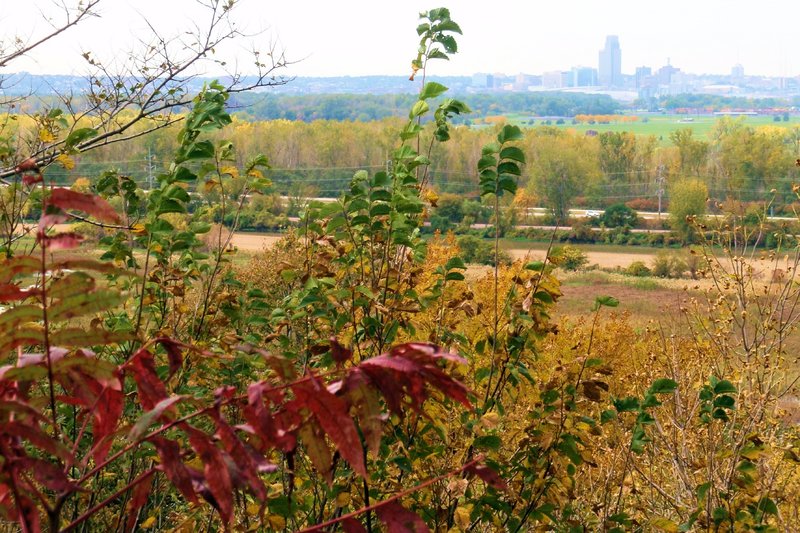 View from Tony's Bench