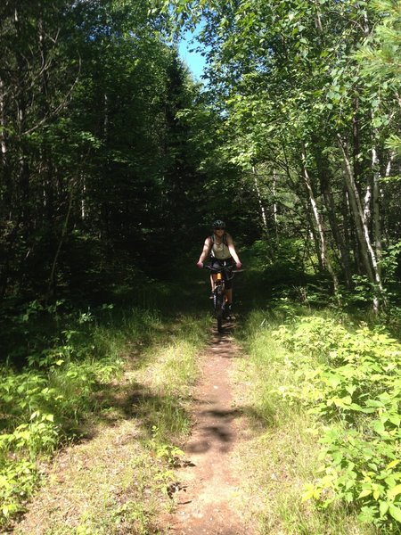 Wider singletrack area